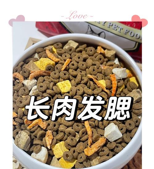 猫咪吃完肉后拒绝猫粮是为什么？如何解决？