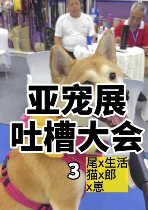 泰宠出品的猫粮怎么样？用户评价如何？