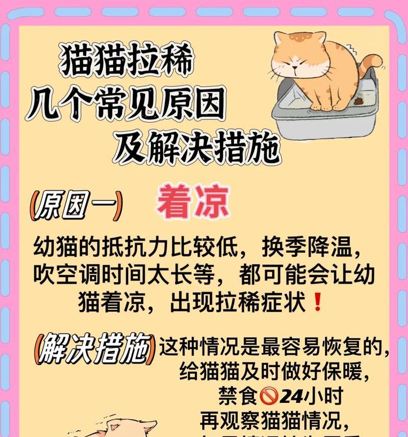幼猫到家后吃猫粮拉稀的原因是什么？如何处理？