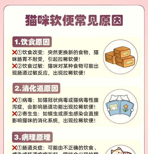 幼猫到家后吃猫粮拉稀的原因是什么？如何处理？