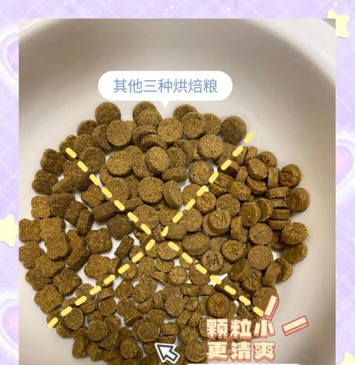 自制牛肉奶糕猫粮的正确步骤是什么？