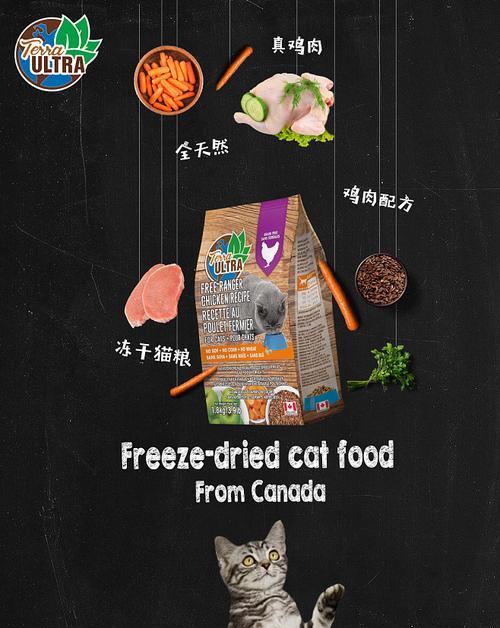 如何拍摄吸引人的猫粮海报？猫粮海报的拍摄技巧有哪些？