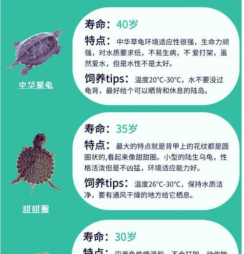 选择骷髅大唐龟速宠物时应注意什么？如何挑选？