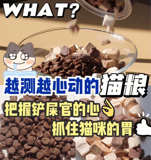如何辨别猫粮的质量好坏？