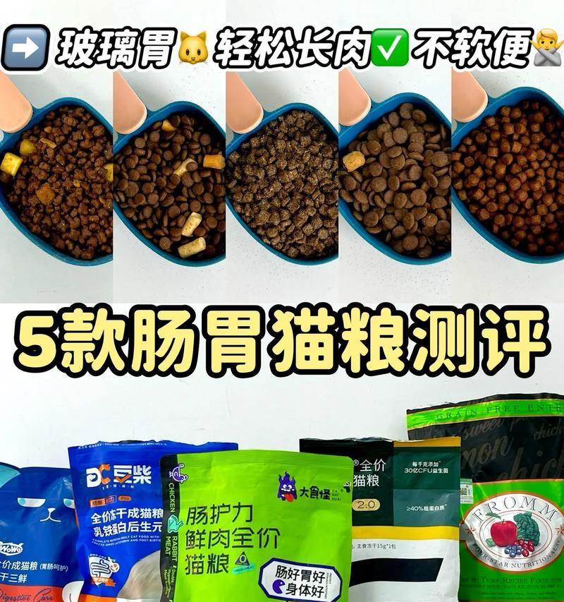 猫咪消化不良应该选择哪种猫粮？有哪些推荐？