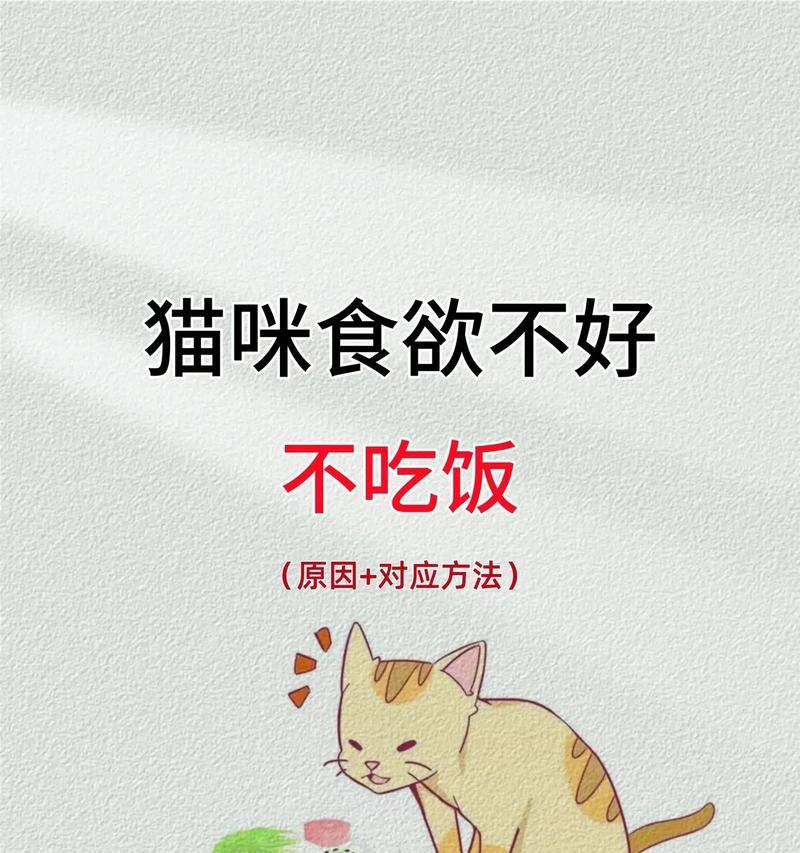 小幼猫不进食猫粮是什么原因？如何引导其正常进食？