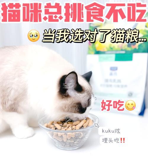 猫粮如何吸引猫咪食用？有哪些有效的方法？