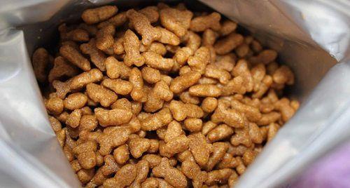 猫粮中出现类似鸡的虫子是什么？
