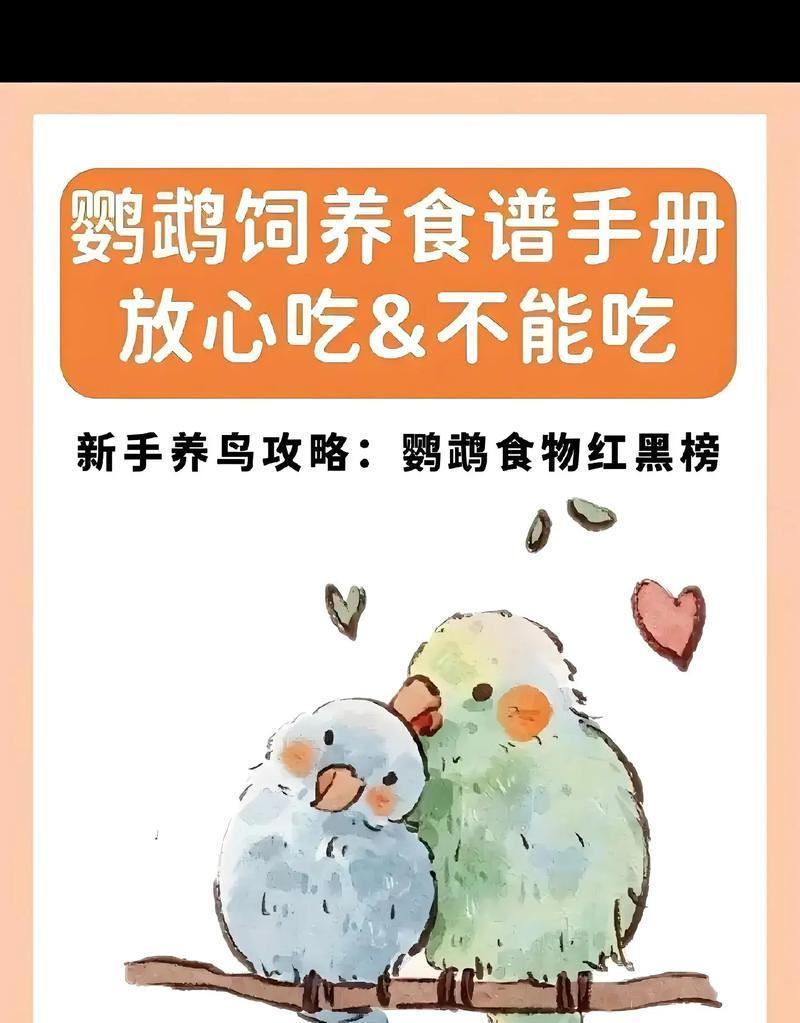 喂鸟吃猫粮会有福报吗？这样做对鸟有什么影响？