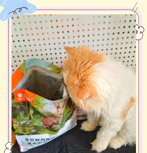 猫咪挑剔猫粮时应如何应对？