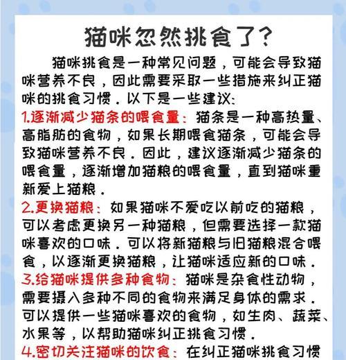 猫咪挑剔猫粮时应如何应对？