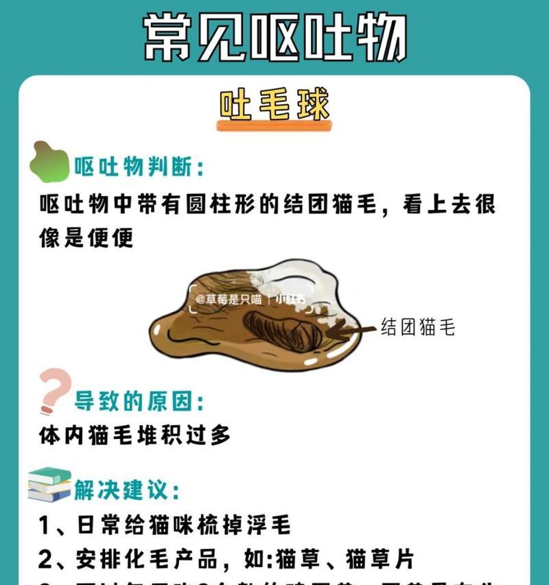 猫咪吐出消化过的猫粮是什么原因？