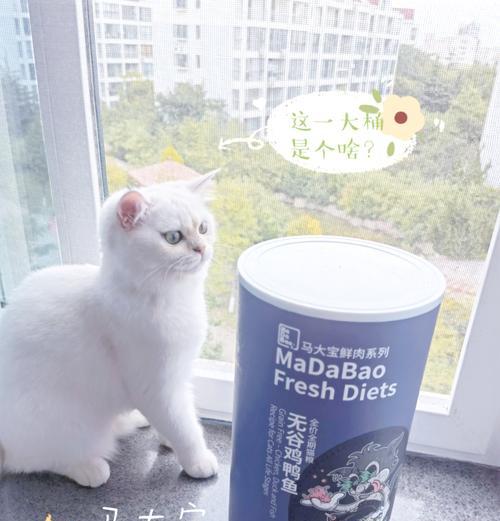 烟花与猫粮有何关联？探索节日宠物喂养的注意事项