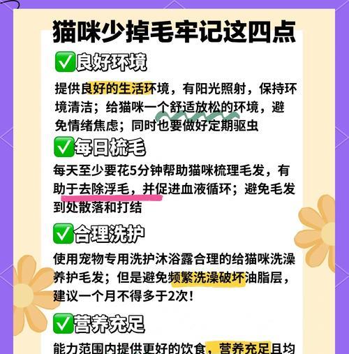 猫粮试吃时如何搭配美毛膏？美毛膏的正确使用方法是什么？