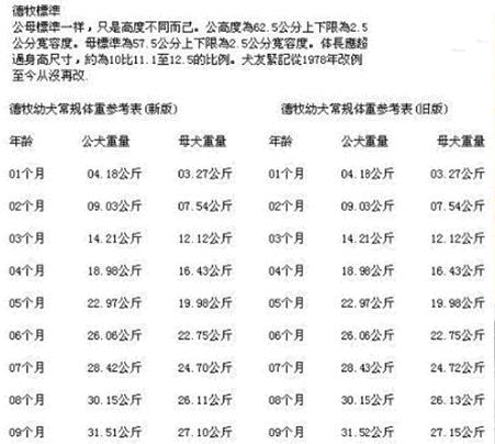 母德牧成年体重标准是多少？