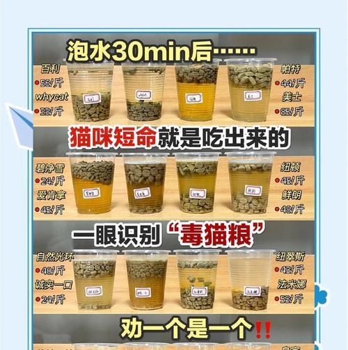 猫粮在储藏箱中会变质吗？原因是什么？