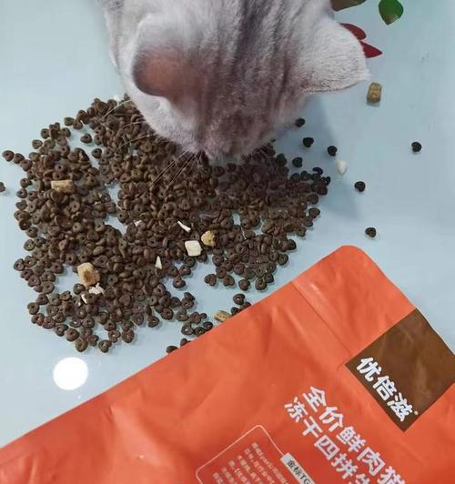 猫粮在储藏箱中会变质吗？原因是什么？