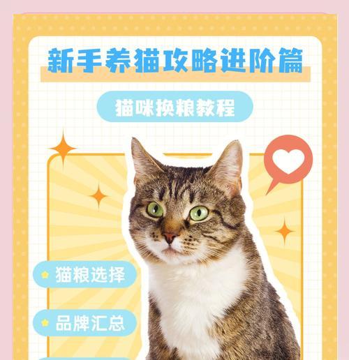 东丽区换猫粮的正确步骤是什么？