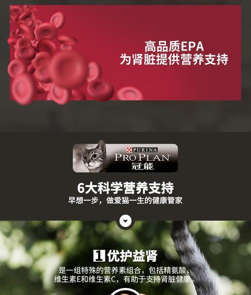 冠能猫粮上的猫咪品种有哪些？