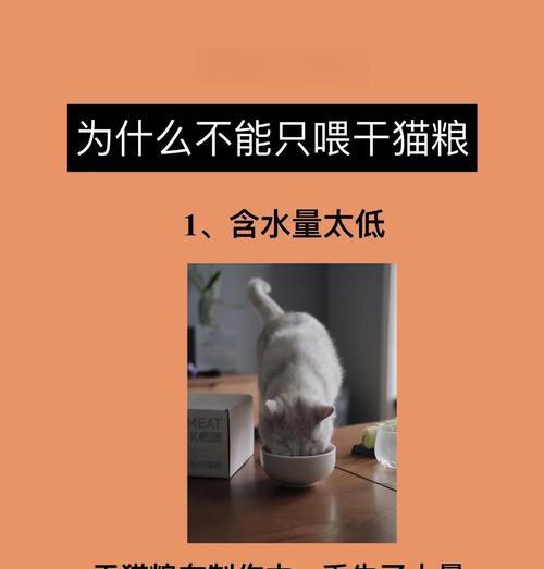洁癖猫咪只吃干净猫粮的解决方法是什么？