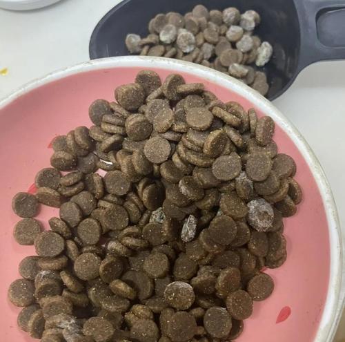 如何判断猫粮是否变质？猫粮变质的迹象有哪些？