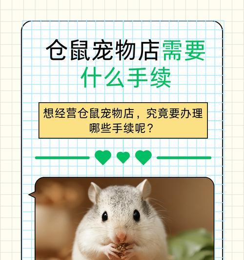 宠物店是否出售小仓鼠？如何选择健康的仓鼠？