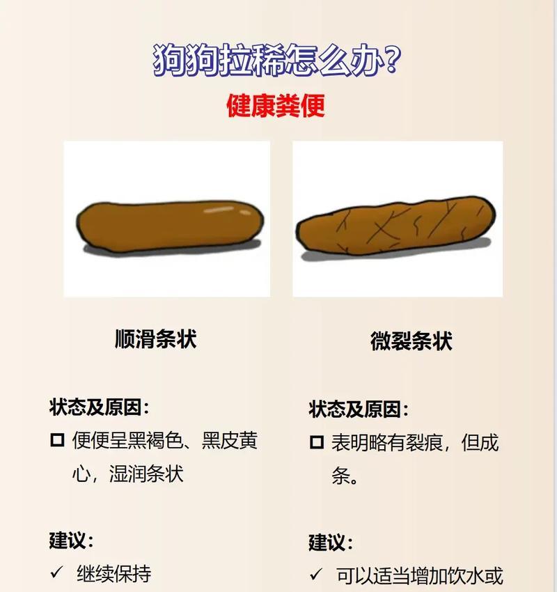 金毛吃了猫粮拉稀怎么办？可能的原因和解决措施有哪些？