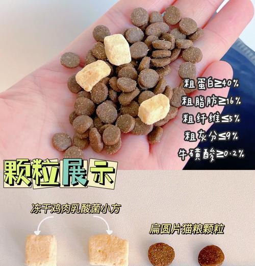 猫粮储存罐怎么买的？如何选择合适的猫粮储存罐？