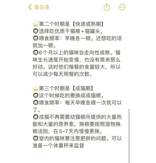外出时如何给猫咪喂食猫粮？背包内应如何准备？