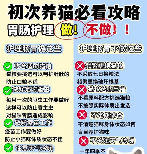 外出时如何给猫咪喂食猫粮？背包内应如何准备？