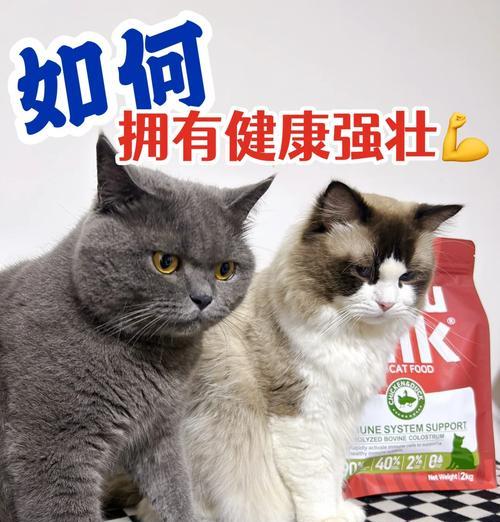 猫太强怎么处理猫粮？有哪些方法可以改善？