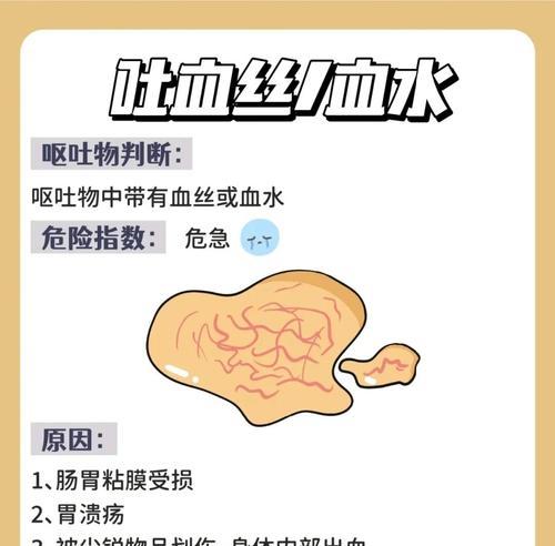 为什么有的猫粮吃完就吐了？猫粮导致呕吐的常见原因是什么？