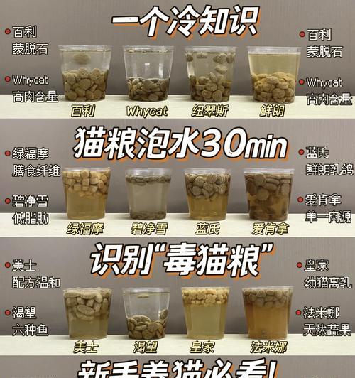 猫粮加水不泡对猫咪有影响吗？