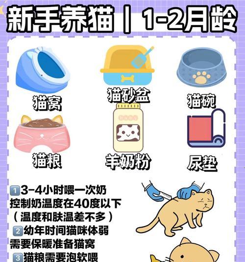 没有猫粮猫应该怎么喂食？猫咪的替代食物有哪些？