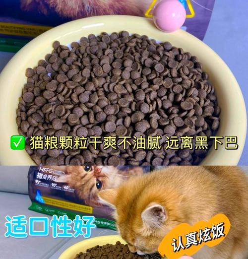 库卫猫粮的品质如何评价？伯宠猫粮怎么样？
