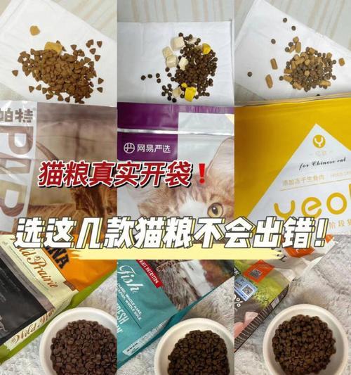 沙区哪里可以买到猫粮？