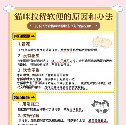 猫粮后拉臭屎怎么解决？