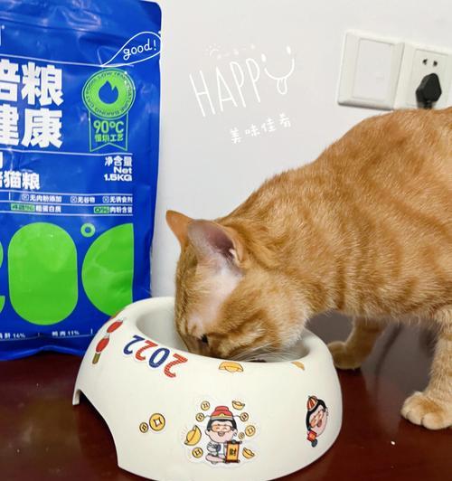 六角恐龙猫粮怎么喂好吃？喂食技巧有哪些？
