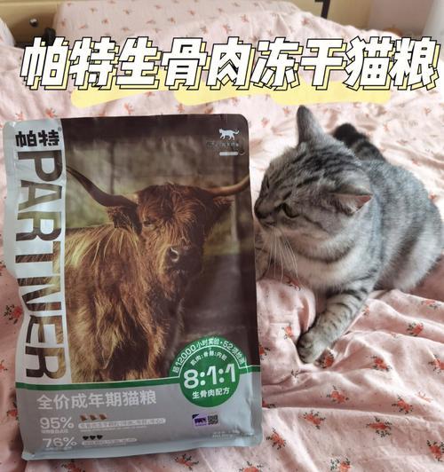 六角恐龙猫粮怎么喂好吃？喂食技巧有哪些？