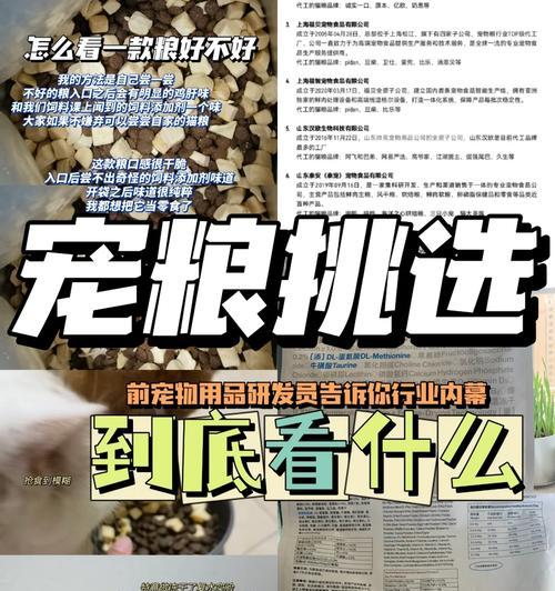 猫粮变质后应如何正确处理？
