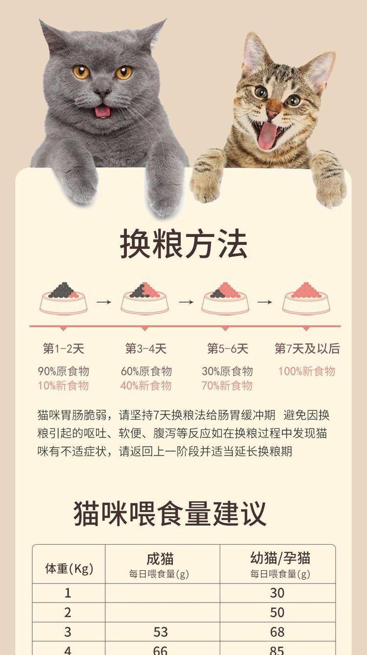 猫丢了猫粮怎么处理？是否可以继续喂食？