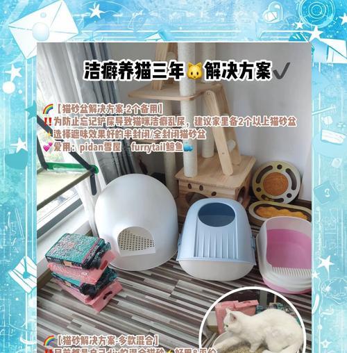 猫粮如何正确放置在猫砂盆中？避免猫砂混入的方法是什么？