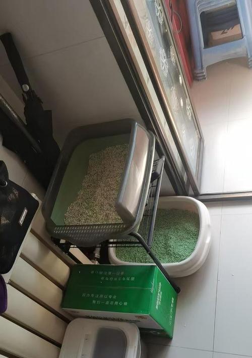 猫粮如何正确放置在猫砂盆中？避免猫砂混入的方法是什么？