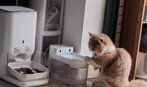 猫粮机和饮水机的正确使用方法是什么？使用时应注意什么？