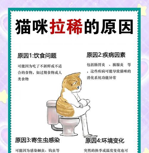 猫没吃猫粮喝水拉稀怎么办？可能的原因和解决方法是什么？