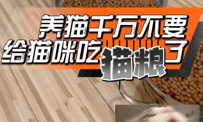 猫为什么控制猫粮不吃了？这是什么原因导致的？