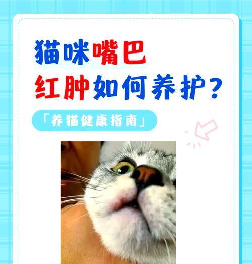 猫吃猫粮嘴变红是正常现象吗？