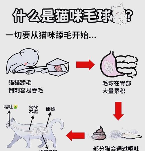 猫吐了猫粮还有毛球怎么办？如何处理这种情况？