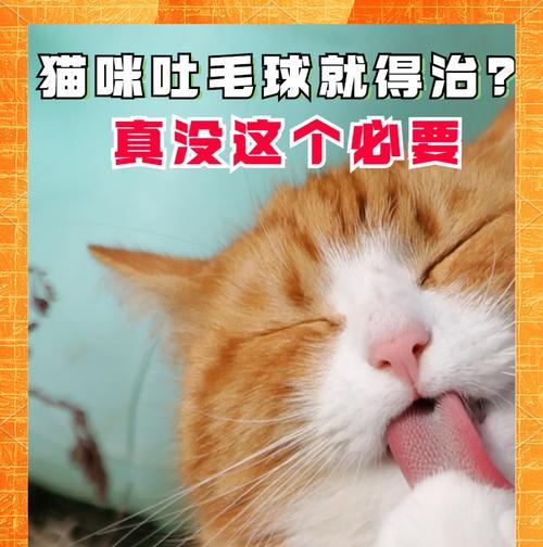 猫吐了猫粮还有毛球怎么办？如何处理这种情况？