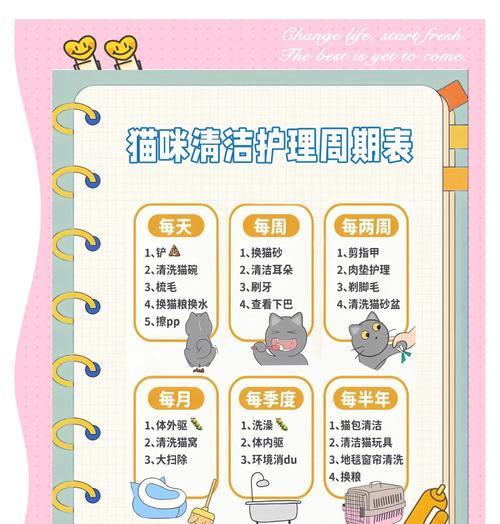 猫粮肚子沾毛怎么清洗？使用什么方法最有效？
